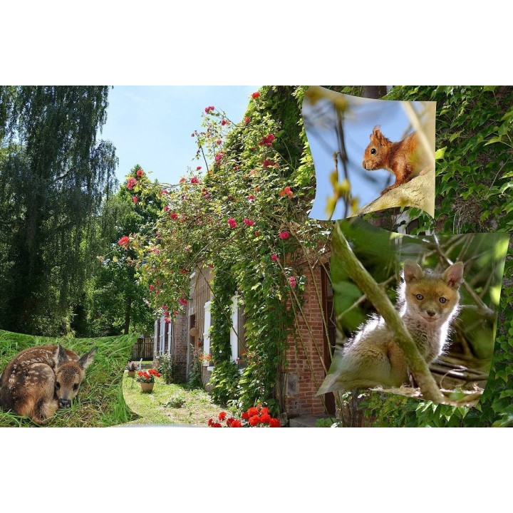 Ferienhaus in Tôtes ab 48€ pro Nacht