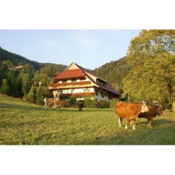 Ferienwohnung in Oberrhein ab 47€ pro Nacht