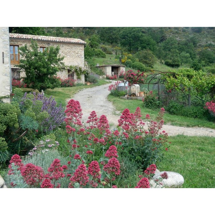 Ferienhaus in Provence ab 55€ pro Nacht