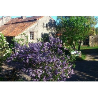 Ferienhaus in Gard ab 46€ pro Nacht