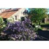 Ferienhaus in Gard ab 46€ pro Nacht