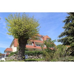 Ferienwohnung in Rügen ab 57€ pro Nacht