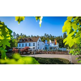 Arrangement für Kurzentschlossene