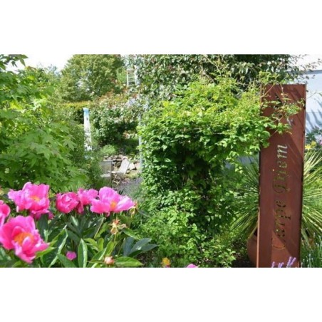 Ferienwohnung in Rhön ab 55€ pro Nacht