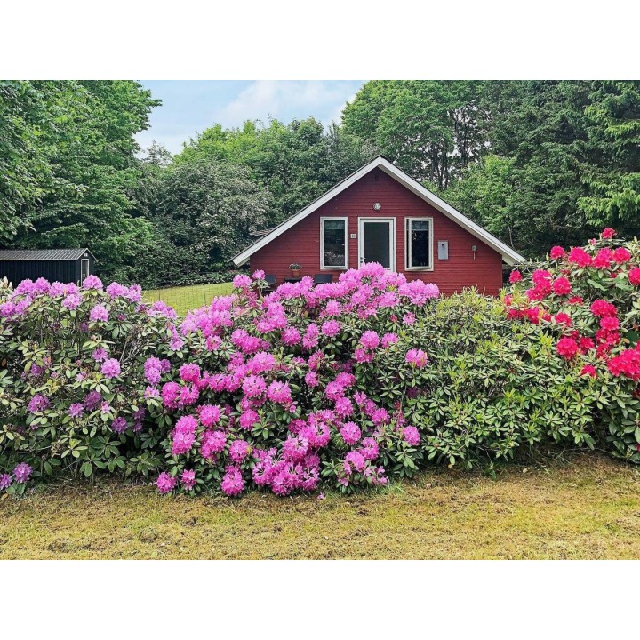 Ferienhaus in Arrild ab 37€ pro Nacht