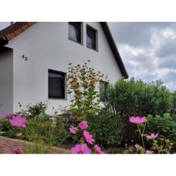 Ferienwohnung in Wendorf ab 55€ pro Nacht