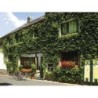 Ferienwohnung in Mosel ab 56€ pro Nacht