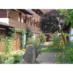 Ferienwohnung in Pfalz ab 52€ pro Nacht