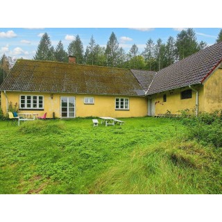 Ferienhaus in Skanderborg ab 55€ pro Nacht