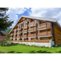 Ferienwohnung in Alpes Vaudoises ab 59€ pro Nacht