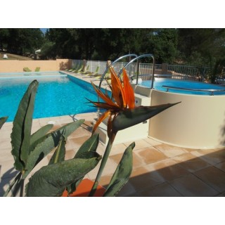 Camping Domaine De La Cigaliere