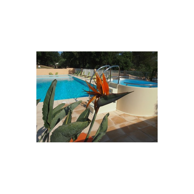 Camping Domaine De La Cigaliere