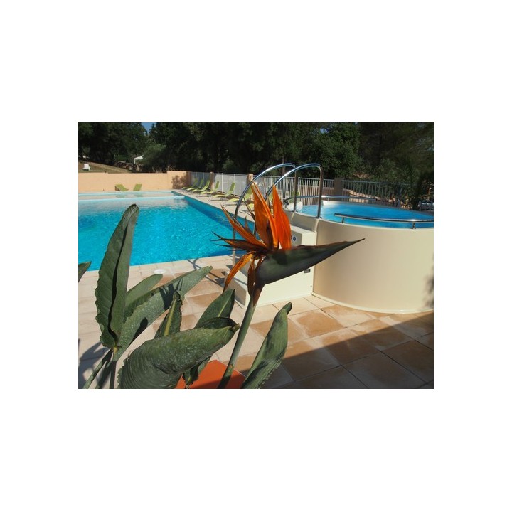 Camping Domaine De La Cigaliere