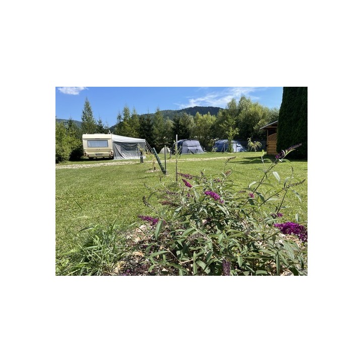 Kohlhofmühl Camping