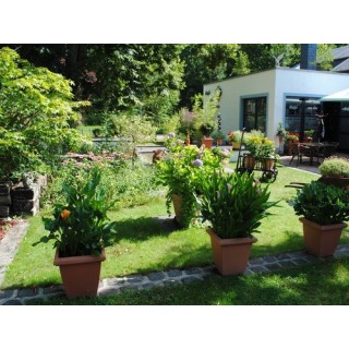 Camping Vallée de l’Our