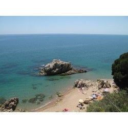 Camping Roca Grossa