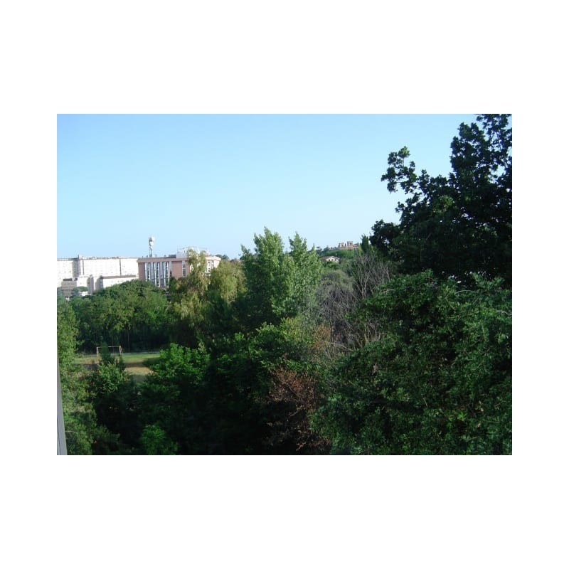 Hotel Zone