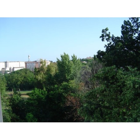 Hotel Zone