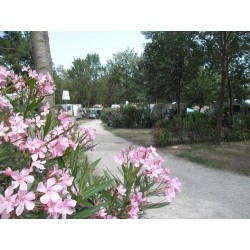 Camping Les Pins