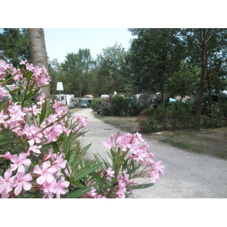 Camping Les Pins