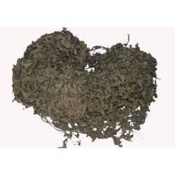 5 x 5 m Schwedisches Tarnnetz 2. Wahl Kunststoff oliv gebr. (25,0m² - 2,99 €/m²)
