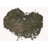 5 x 5 m Schwedisches Tarnnetz 2. Wahl Kunststoff oliv gebr. (25,0m² - 2,99 €/m²)