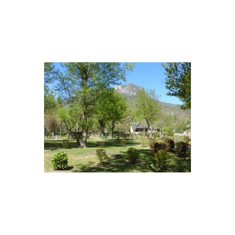 Camping Municipal de Brouillet
