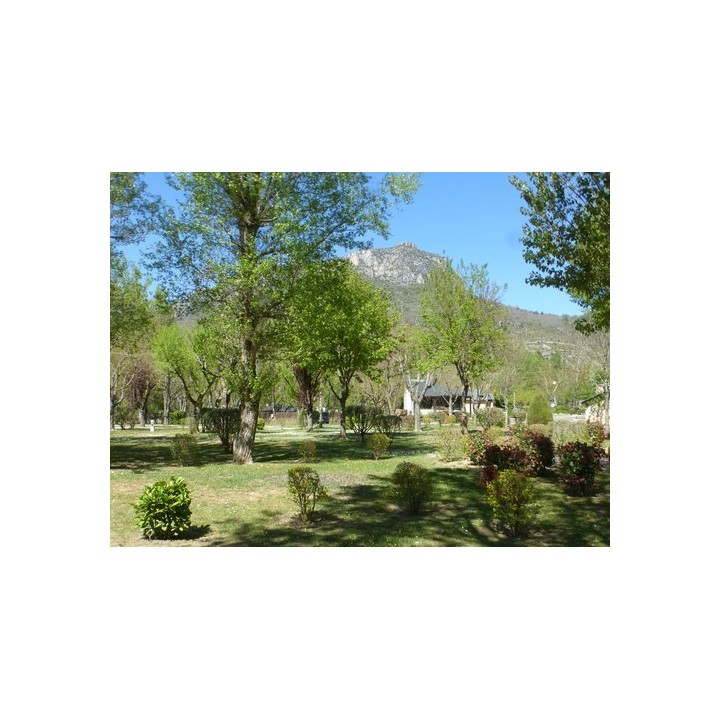 Camping Municipal de Brouillet