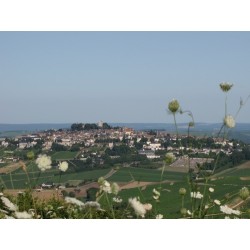 Camping Des Etangs