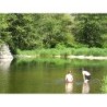 Camping Les Roches