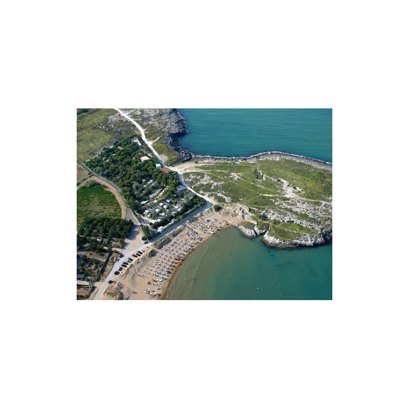 Camping Village Molinella Vacanze