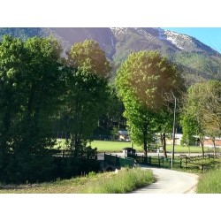 Camping Il Melo