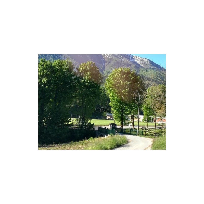 Camping Il Melo