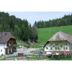 Ferienwohnung in Hornberg ab 50€ pro Nacht