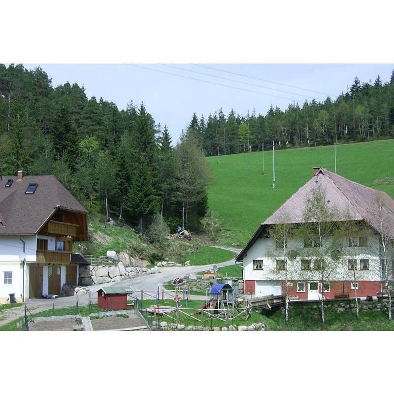 Ferienwohnung in Hornberg ab 50€ pro Nacht