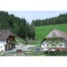 Ferienwohnung in Hornberg ab 50€ pro Nacht