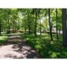 Camping De Schuur