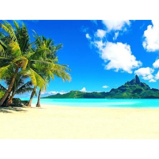 Kreuzfahrten Australien, Neuseeland & USA: Kreuzfahrt mit der Discovery Princess von Sydney bis Los Angeles