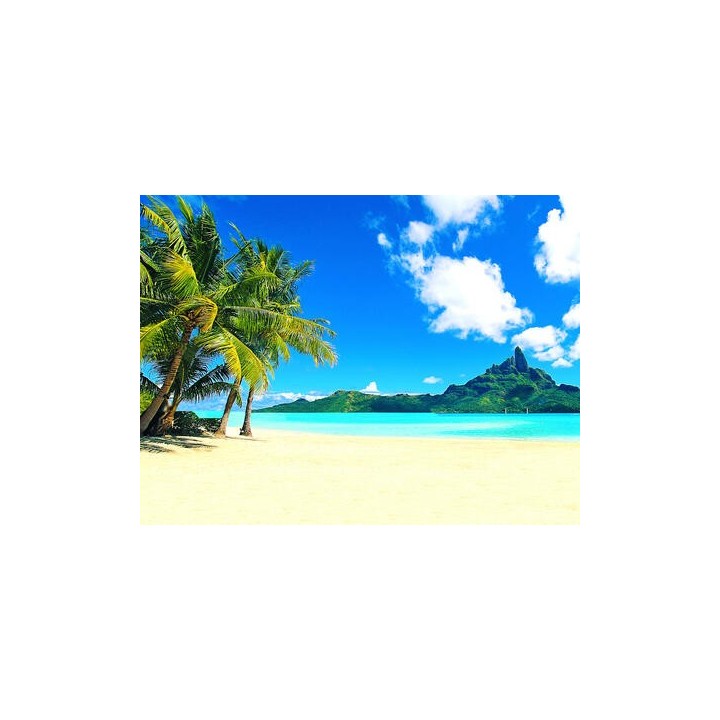 Kreuzfahrten Australien, Neuseeland & USA: Kreuzfahrt mit der Discovery Princess von Sydney bis Los Angeles