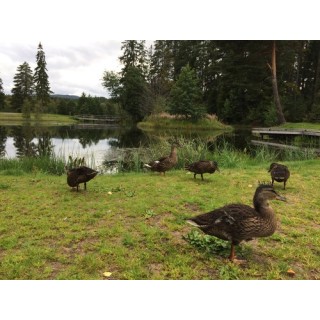 First Camp Lunde - Telemark