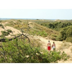 Camping Les Cyprès