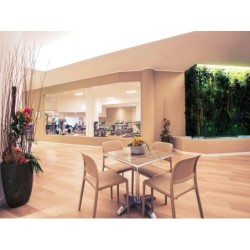 Mercure Olbia  Hermaea