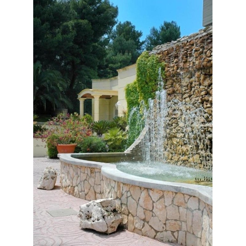 Degli Ulivi