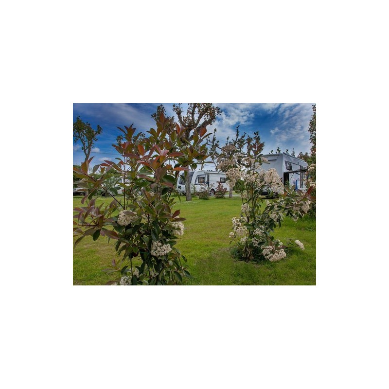Camping Miramare