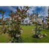 Camping Miramare