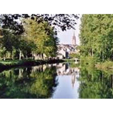 Camping Domaine de Kerelly