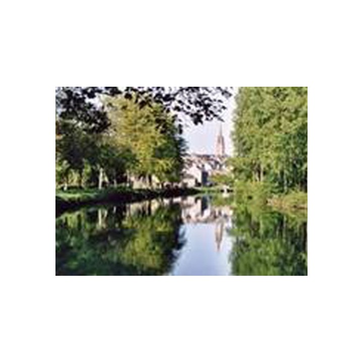 Camping Domaine de Kerelly