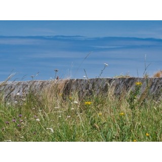 Camping La Baie Des Veys