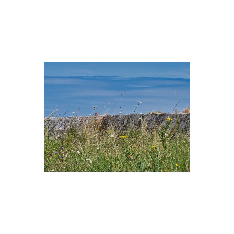 Camping La Baie Des Veys