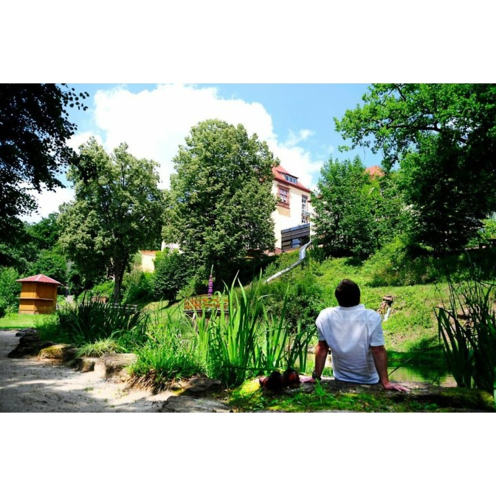 Immer wieder Sonntags!